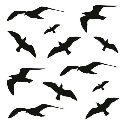 Fenster Vogelschutz Aufkleber, Fensterbilder mit Vögel – Bild 3